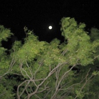 That Beautiful Texas Full Moon